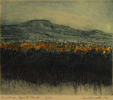 Shoshone Spirit Marsh (1993), by Ernest Garthwaite